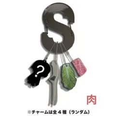 BEFIRST メンプロ　シュント　肉