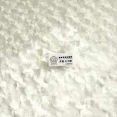 Item thumbnail for item 7316da7a-9740-41c6-81a3-9b5055ff3f85