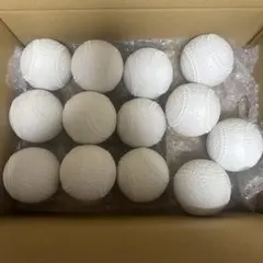 Item thumbnail for item 8ce0375f-e188-41e1-bd52-ff60d839f365