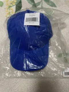 THE NORTH FACE キャップ 青