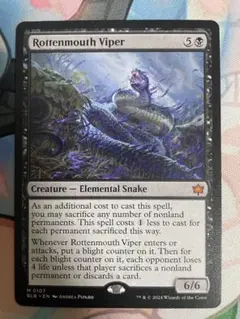 MTG 腐敗口のバイパー　英語 B