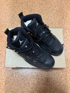Nike Air Jordan 12 Retro 