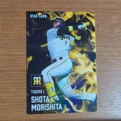 セルリアンブルー様 リクエスト 2点 まとめ商品