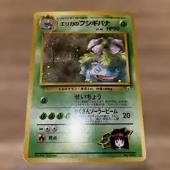 旧裏 エリカのフシギバナ ホロ No.003 ジム拡張