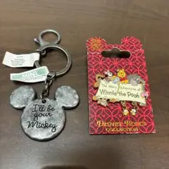 ディズニーワールド アメリカ フロリダ キーチェーン ピンバッジ