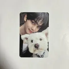 zb1 ギュビン NEVERSAYNEVER デジパ 封入トレカ 犬 レオ