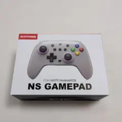 ECHTPOWER NS GAMEPAD コントローラー