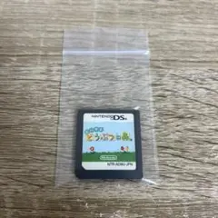 おいでよどうぶつの森　DSソフト