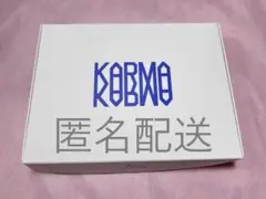 Stray Kids KARMA HOORAY VER 開封済み