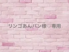 リンゴあんパン様♡専用オーダー　痛ロゼット