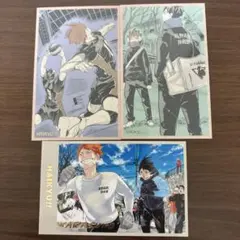 ハイキュー メモリアルコレクション 第2弾 日向翔陽 影山飛雄 レア 箔押し