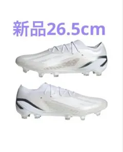 Item thumbnail for item f565889a-4580-4fe5-a32b-e5ac361b7b71