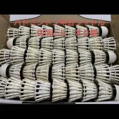 Item thumbnail for item b71007c1-ca47-4991-9c5f-a079f7695005