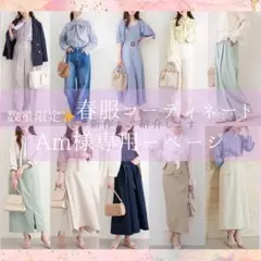 Am様❤️春物 ブランド服 レディースコーディネートセット 通勤 きれいめ 10着