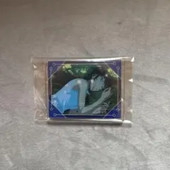 名探偵コナン 毛利蘭 アクリルマグネット コナンランド