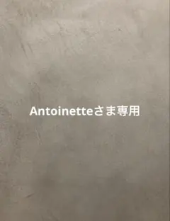 Antoinetteさま専用