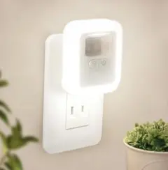 Item thumbnail for item 4e202757-2a30-4a6d-bf44-7ab085e6c869