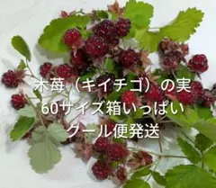 【多分ラスト値下げ中！】 木苺 キイチゴ 60サイズ箱いっぱい クール便発送 ①のサムネイル