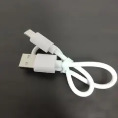 USB Type-A to Micro USB (Type-B) 充電ケーブル♡