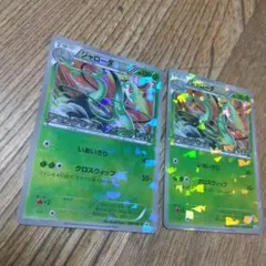 ポケモンカード プロモ ジャローダ 2枚セット BW
