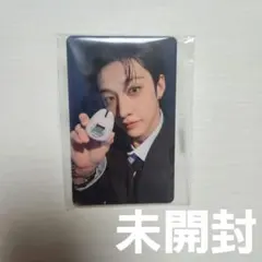 Stray Kids SKZOO たまごっち購入特典 8枚セット 未開封