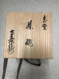 Item thumbnail for item 77e274a1-d2b2-477f-89db-c8977850d927