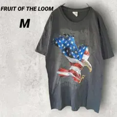 フルーツオブザルーム Tシャツ クルーネック 半袖 イーグル M グレー 綿