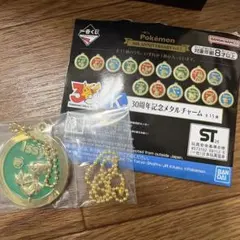 ポケモン 一番くじ 30周年 vol.2 K賞 ツタージャ　メタルチャームのサムネイル