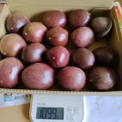 パッションフルーツ16個(訳あり品)のサムネイル