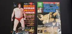 プロレス雑誌・2冊セット