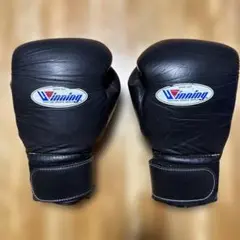 ウイニングボクシンググローブ　14オンス