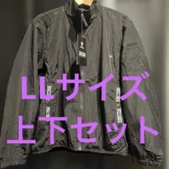 Item thumbnail for item 7f6a5d95-2f43-4d63-b156-ba17ccf99f72