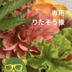 専用 りたそう様 10/28