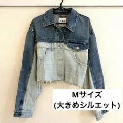 ZARA ザラ デニムジャケット アウター Mサイズ