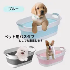 Item thumbnail for item 6e32ece7-d189-40d1-a4cb-570c48490ed0