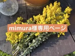 【mimura様専用ページ】三角アカシア