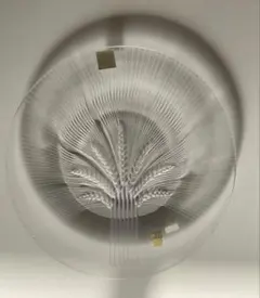 2026年最新】LALIQUE 種類：皿・鉢 ガラスの人気アイテム - メルカリ