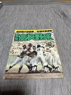 顕正新聞 平成10年 - メルカリ