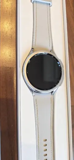 美品・おまけ付】Garmin Venu 3 /未使用予備バンド＆充電アダプタ付 