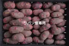 ラパン様専用　グランドペチカ　M・Lサイズ混合 5キロ