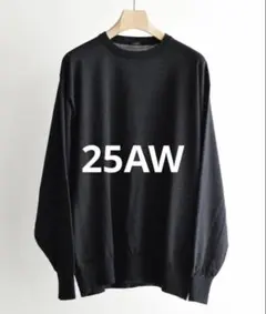 COMOLI 25aw ウール クルーネック ニットのサムネイル
