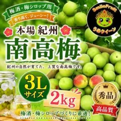 色付き‼️和歌山県産 完熟南高梅 3L.2Lサイズ 2kg みかんキング - メルカリ