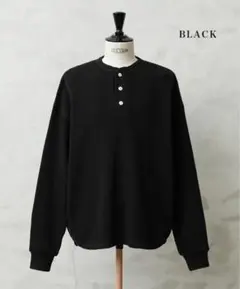 Healthknit WAIPER別注 ヘンリーネックTシャツ