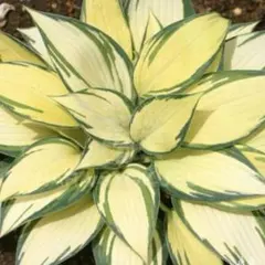 モモコ様 リクエスト 2点 まとめ商品