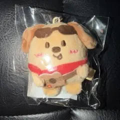 RIIZE LOUD キーリング summer アントン 未開封 モンリョンイ