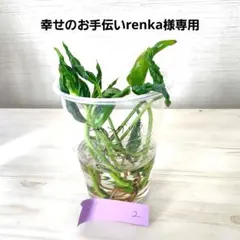 幸せのお手伝い renka【蓮花】様 リクエスト 2点 まとめ商品