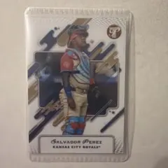 2026年最新】サルバドールペレスの人気アイテム - メルカリ