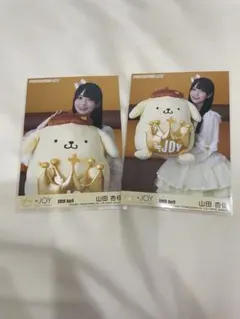 山田杏佳 ポムポムプリン 生写真 セミコンプ - メルカリ
