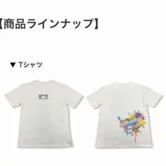 ジャニーズJr. Tシャツ（♯裸の少年衣装レプリカ） HiHi Jets 美少年