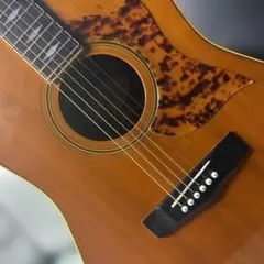 ☆極上オール単板仕様！フェンダー CD320ASCE がこれだ！超激鳴・超美